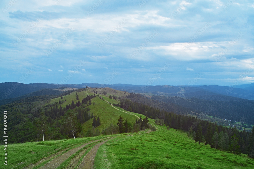 Naklejka premium Beautiful landscape with mountain forest