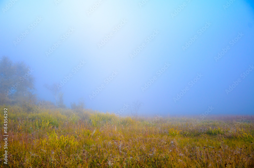 Morning fog Morning fog