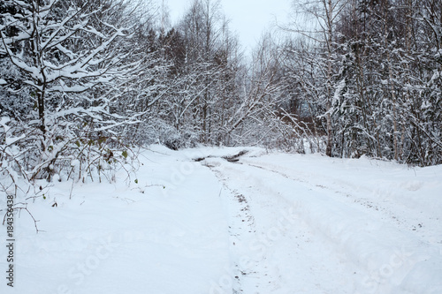 Dirty snow-covered road in winter forest. On tree branches snow.