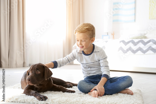 Cute little boy with dog on...