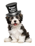 Smiling havanese puppy dog is wearing a Happy New Year top hat