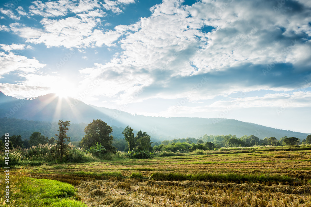 Obraz premium rural view in chiangmai Thailand