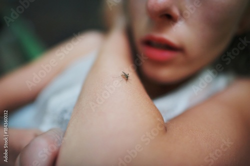 A mosquito sits on the woman's hand and sucks blood. Pain, itching, danger of infection. photo