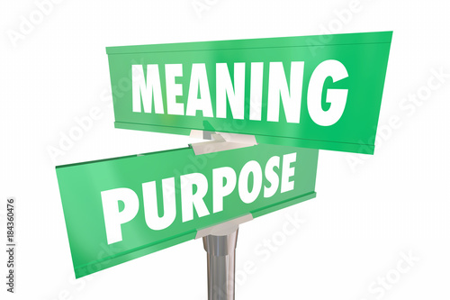 Meaning Purpose Road Street Signs Words 3d Illustration