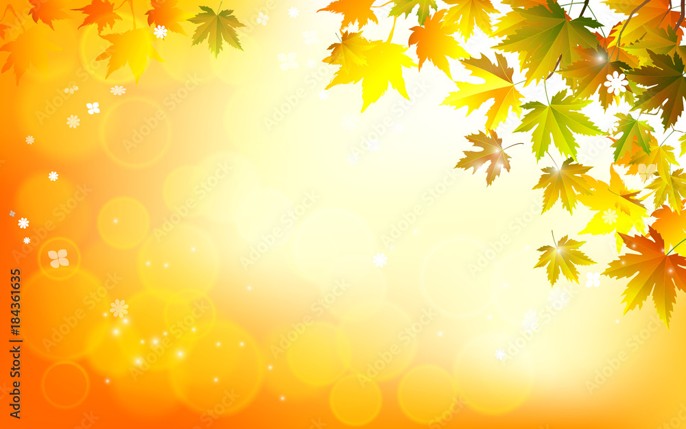 Vector autumn leaves on a bright sunny background. Vector autumn leaves on a bright sunny background.