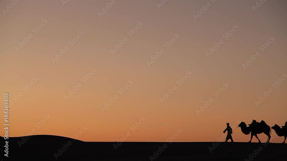 Camel Caravan Silhouette at sunset in the middle of the desert Camel Caravan Silhouette at sunset in the middle of the desert