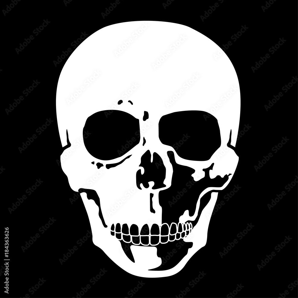 Illustration of a silhouette of a skull head frontal, pharmaceuticals. Ideal for catalogs and institutional information Illustration of a silhouette of a skull head frontal, pharmaceuticals. Ideal for catalogs and institutional information