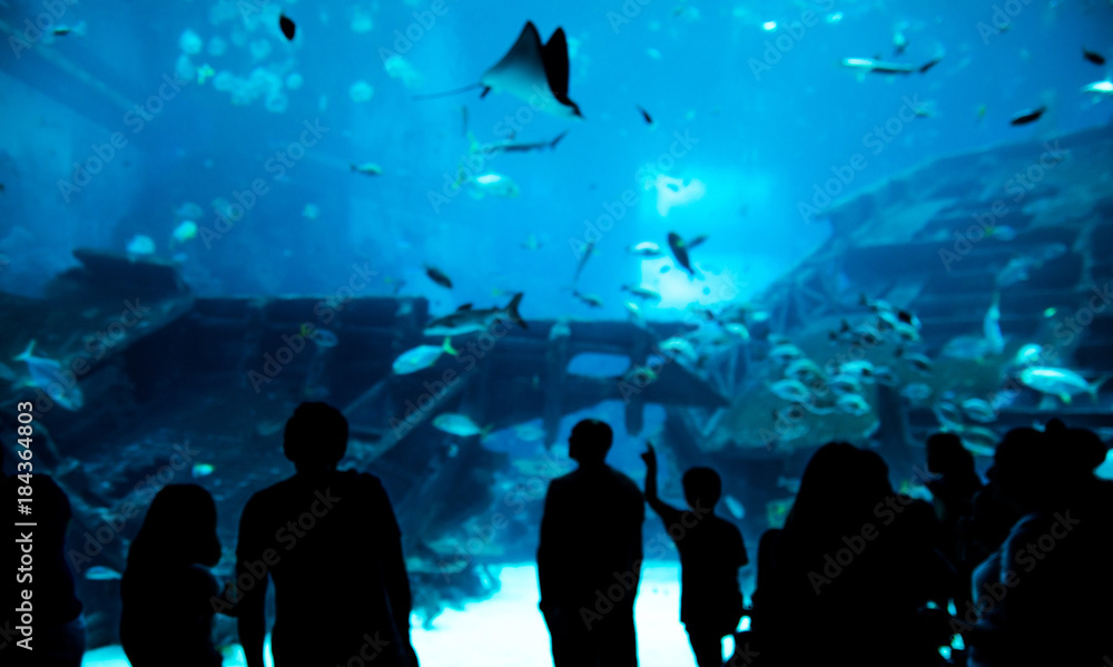 blur abstract people observing fish in aquarium  , Ocean fish in tank