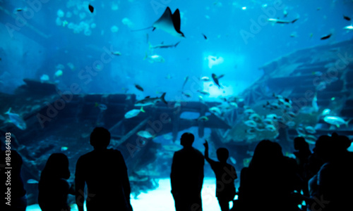 blur abstract people observing fish in aquarium , Ocean fish in tank