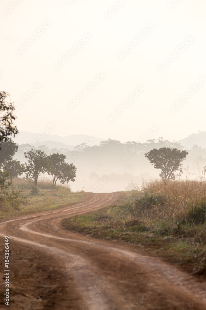 Landscape of sunlight with fog, Thung Salaeng Luang National Park Landscape of sunlight with fog, Thung Salaeng Luang National Park