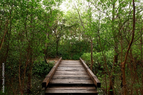 Wood bridge in the forest