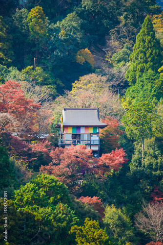 Ancient wooden temple with autumn foliage colors at the mountain of Arashiyama © Sunanta