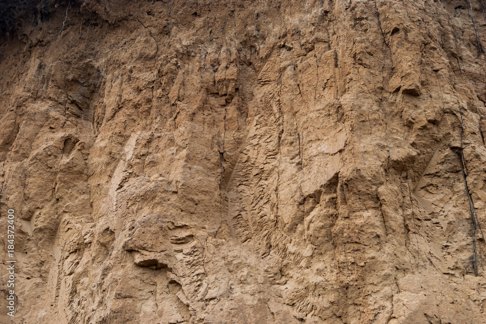 Close-up of a loamy ravine wall as an environmental texture background Close-up of a loamy ravine wall as an environmental texture background