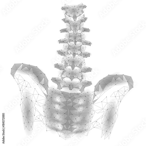 Human spine hip lumbar radiculitis pain low poly. Geometric polygonal particle triangle point line future medicine technology abstract gray white vector illustration