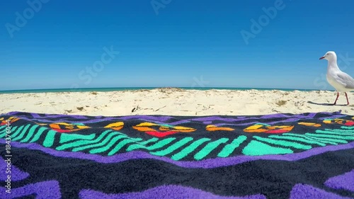 Curious seagull walking past beach towel at the beach.
