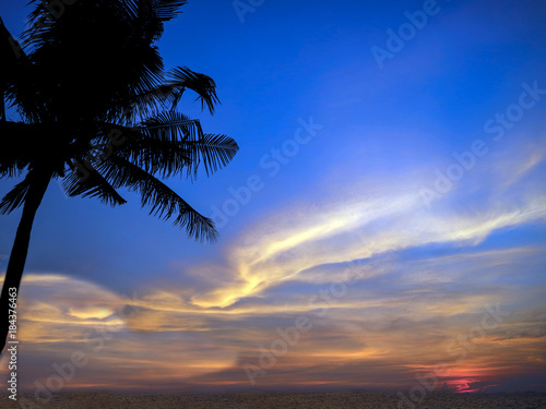 sunset last light and silhouette coconut palm in left