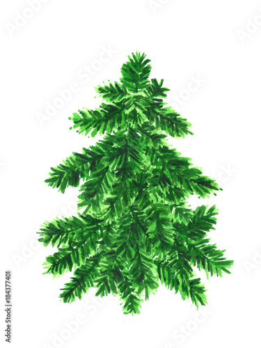 Christmas tree isolated on white. Watercolor illustration © IMR