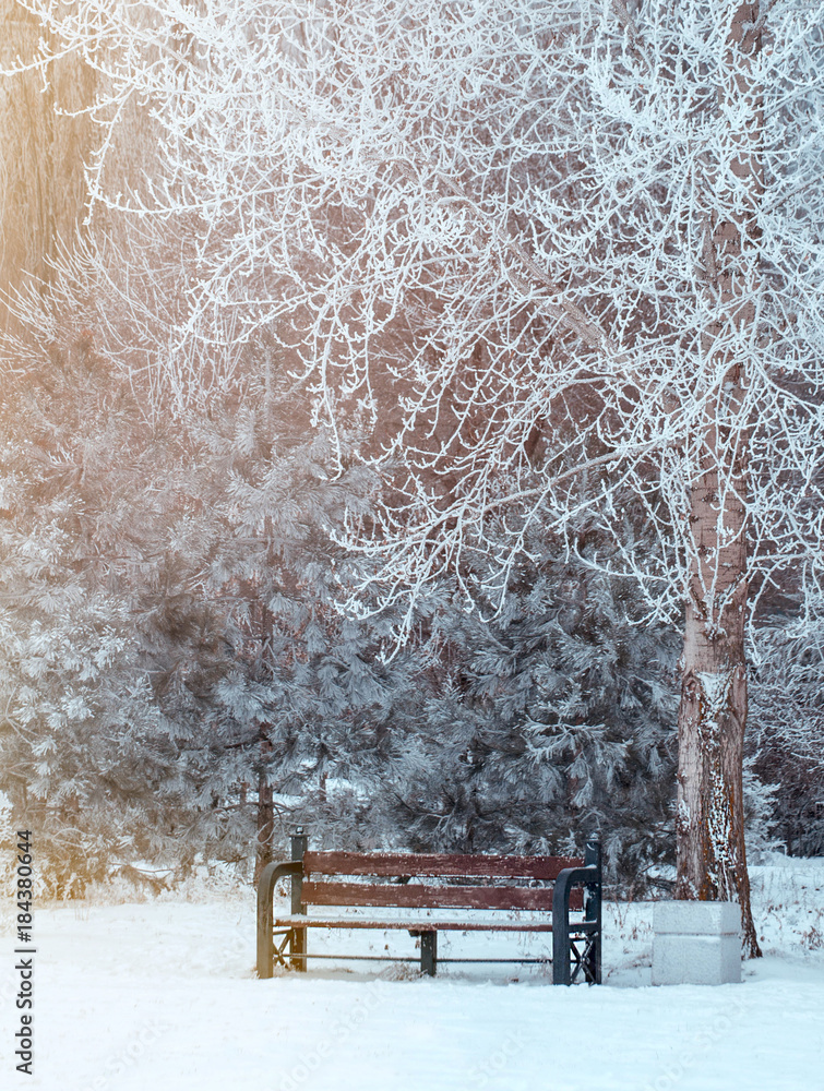 Winter landscape with snow, benches covered with snow among frosty winter trees. Red benches in a park covered with snow. Lonely bench, snow-covered trees in the city park. Sunset.