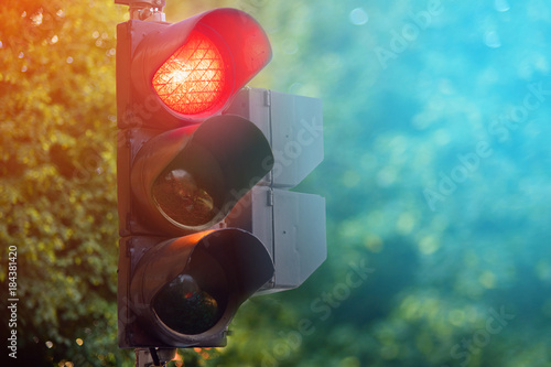 Red light of traffic lights in summer city control lamp concept
