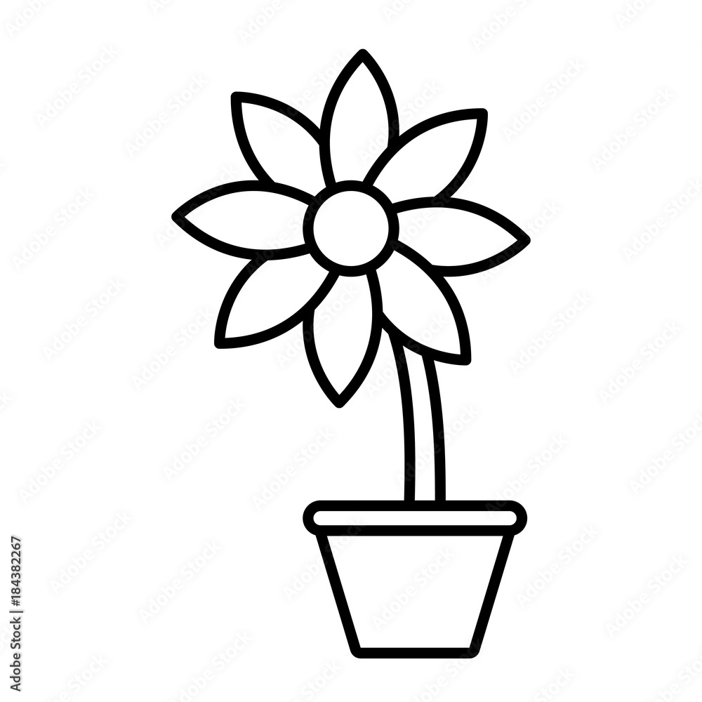 Flower in vase Flower in vase
