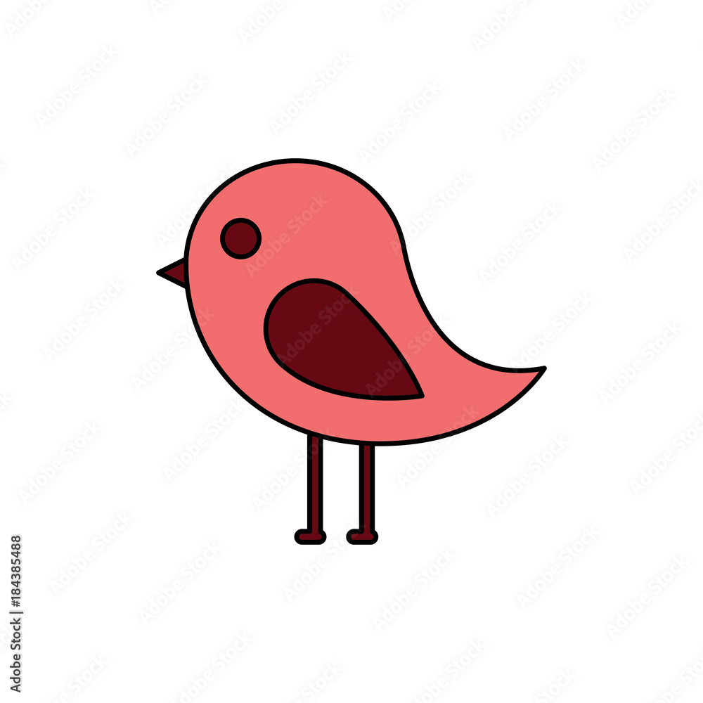 cute bird animal wild nature vector illustration cute bird animal wild nature vector illustration