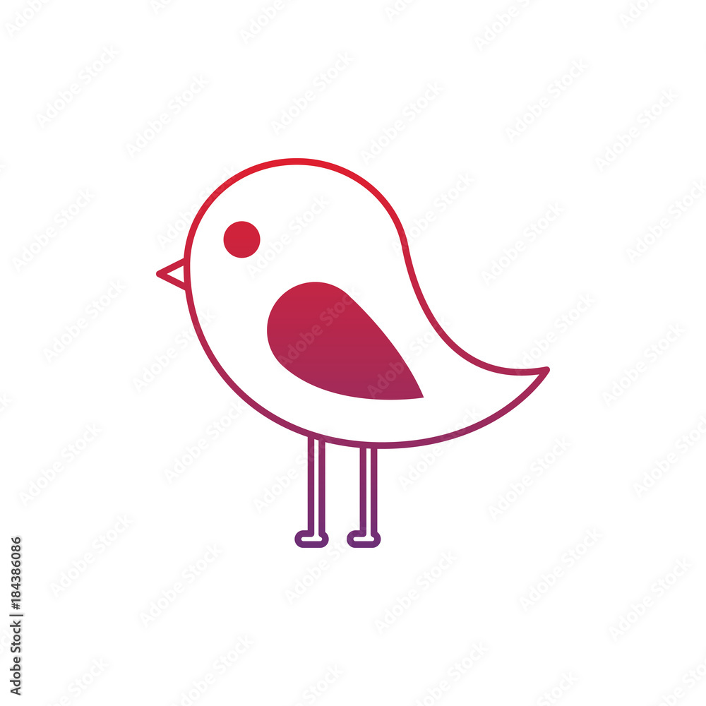 cute bird animal wild nature vector illustration cute bird animal wild nature vector illustration