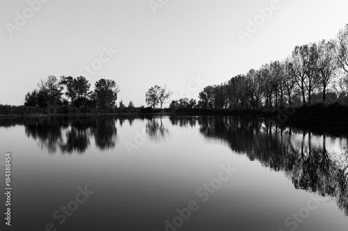 A symmetric photo of Trasimeno lake in Tuoro, with trees and empty sky perfectly reflecting on water