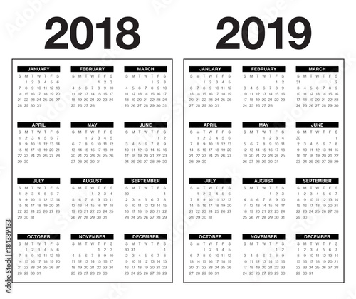 Year 2018 2019 calendar vector