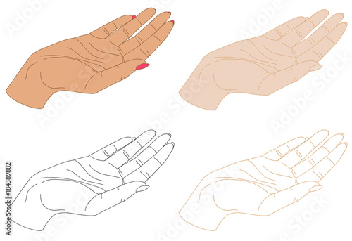 isolated female hand drawings, vector illustration