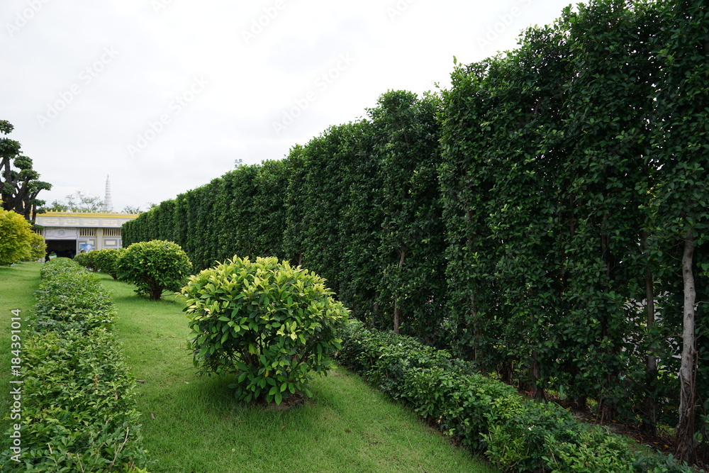 The walkway is part of the park.