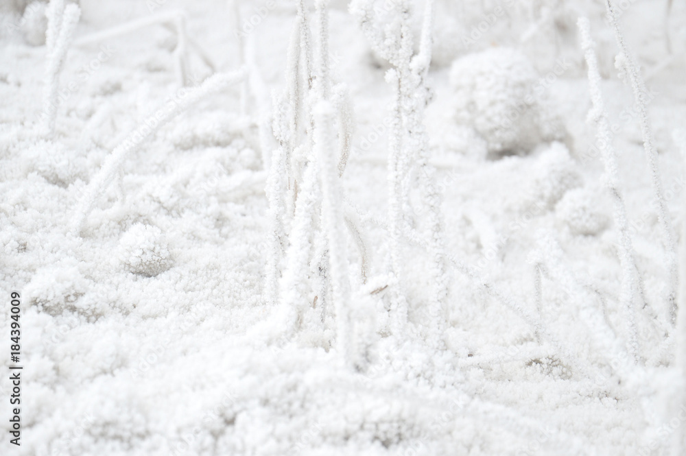 Light winter background, snow texture, macro Light winter background, snow texture, macro
