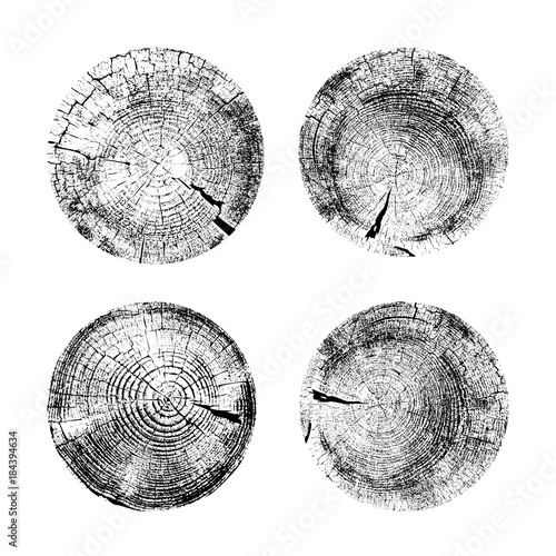 Set of tree rings background. For your design conceptual graphics. Vector illustration EPS 10. Isolated on red background