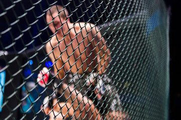Ingelijste posters Vechtsport MMA boksers in octagon ring  © Dusan Kostic