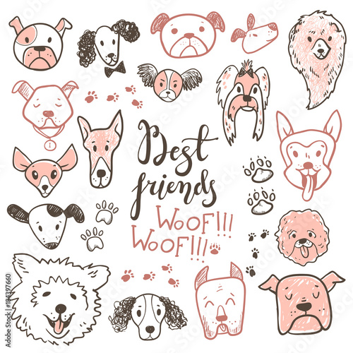 Funny doodle dog icons collection. Hand drawn pet, kid drawn des