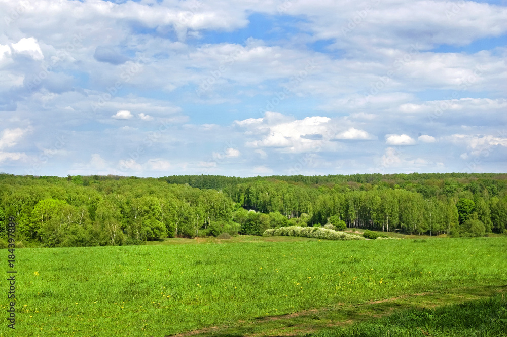 Fields and woods in Yasnaya Polyana, the former estate of the writer Leo Tolstoy Fields and woods in Yasnaya Polyana, the former estate of the writer Leo Tolstoy