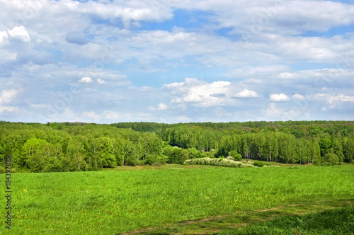 Fields and woods in Yasnaya Polyana, the former estate of the writer Leo Tolstoy