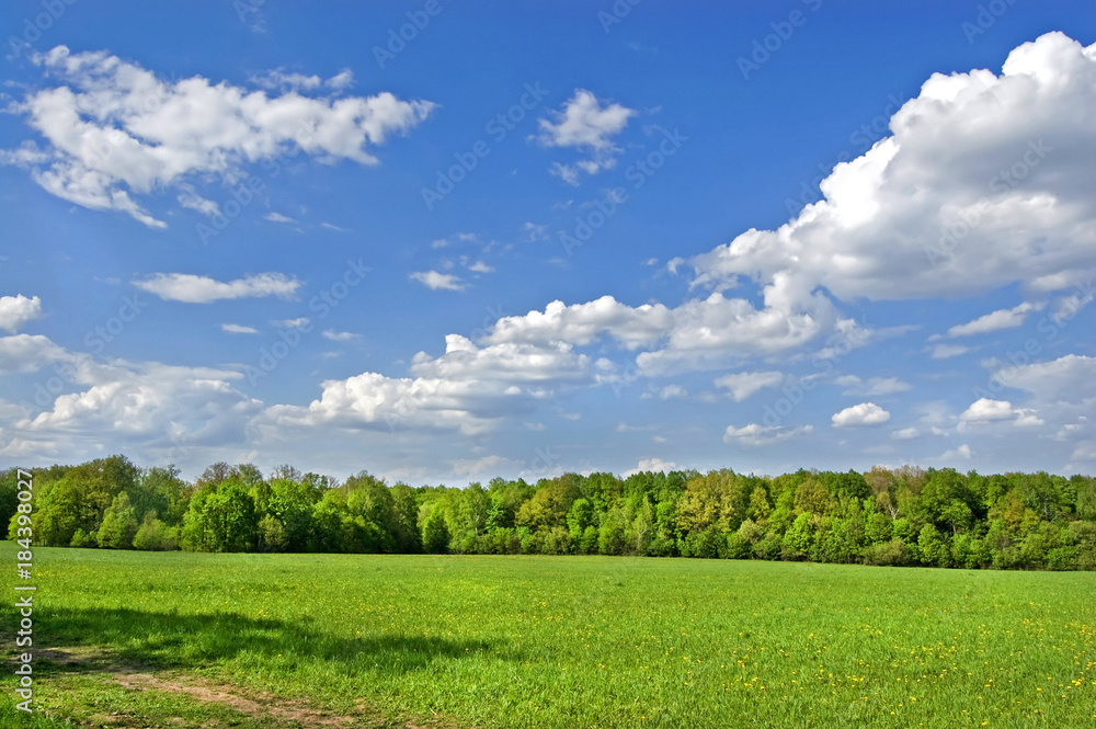 Fields and woods in Yasnaya Polyana, the former estate of the writer Leo Tolstoy Fields and woods in Yasnaya Polyana, the former estate of the writer Leo Tolstoy