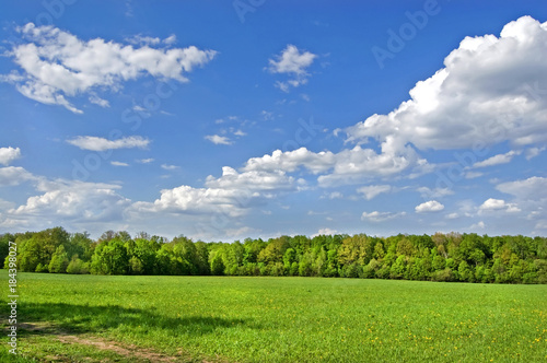 Fields and woods in Yasnaya Polyana, the former estate of the writer Leo Tolstoy