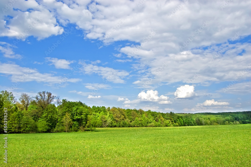 Fields and woods in Yasnaya Polyana, the former estate of the writer Leo Tolstoy Fields and woods in Yasnaya Polyana, the former estate of the writer Leo Tolstoy
