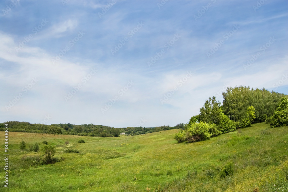 Fields and woods in Yasnaya Polyana, the former estate of the writer Leo Tolstoy Fields and woods in Yasnaya Polyana, the former estate of the writer Leo Tolstoy