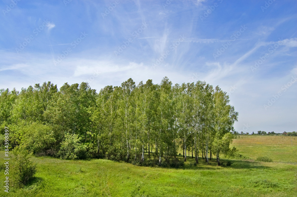 Fields and woods in Yasnaya Polyana, the former estate of the writer Leo Tolstoy Fields and woods in Yasnaya Polyana, the former estate of the writer Leo Tolstoy