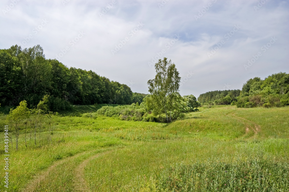 Obraz premium Fields and woods in Yasnaya Polyana, the former estate of the writer Leo Tolstoy