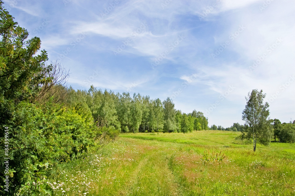 Fields and woods in Yasnaya Polyana, the former estate of the writer Leo Tolstoy