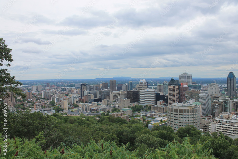 Fototapeta premium Skyline Park Mont Royal Montreal Canada