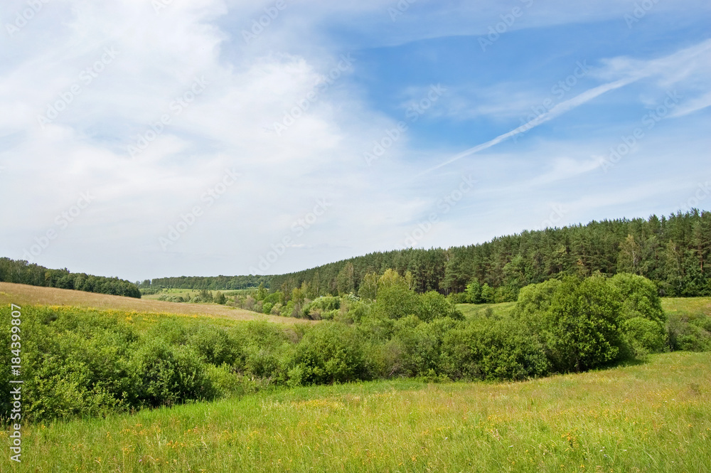 Fields and woods in Yasnaya Polyana, the former estate of the writer Leo Tolstoy Fields and woods in Yasnaya Polyana, the former estate of the writer Leo Tolstoy