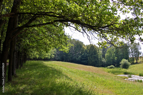 Fields and woods in Yasnaya Polyana, the former estate of the writer Leo Tolstoy
