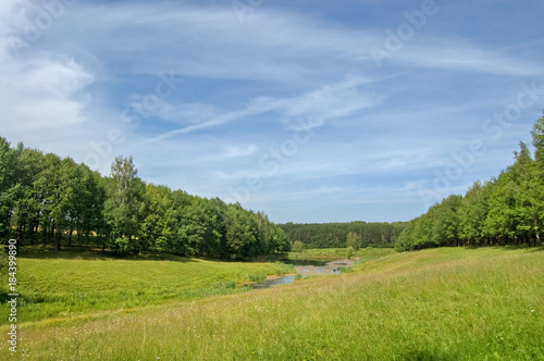 Fields and woods in Yasnaya Polyana  the former estate of the writer Leo Tolstoy