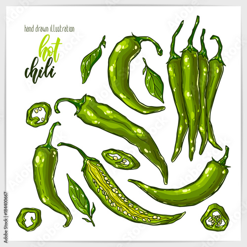 Colorful set of hot and tasty jalapeno chili peppers, whole and sliced, with leaves. Hand drawn illustration with hand lettering headline.