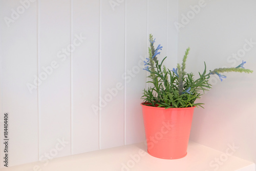 Small blue flower and green leaves in the light red color flowerpot at the corner of the shelf with white background © Mongkol