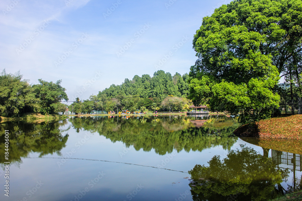 Scenary of Taiping Lake Garden located in Taiping, Perak